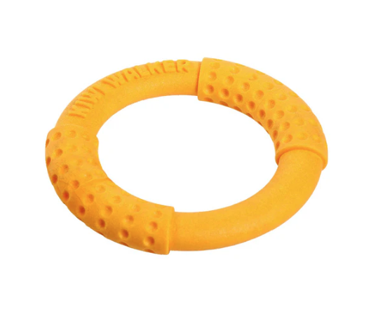 Ring Mini S Kiwi Walker - Jeu durable et amusant pour chiens